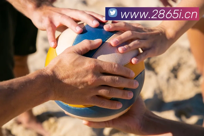 App Interface Preview