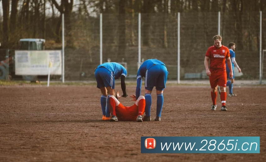 米兰体育在线登陆入口APP 封面图